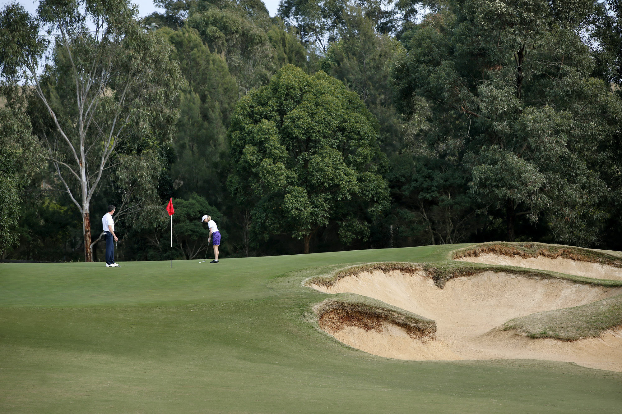 Chateau Elan At The Vintage Pokolbin Zewnętrze zdjęcie Golfers on the green of the 12th hole at the 2006 PGA Championship